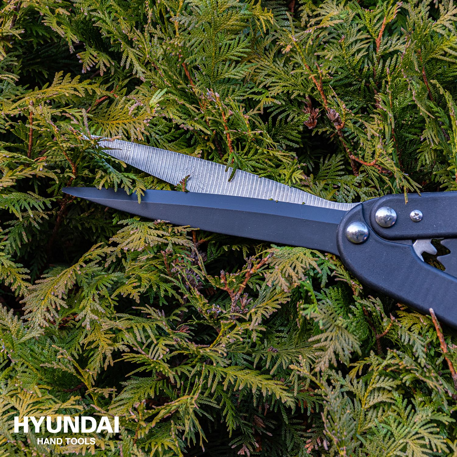 Hyundai heggenschaar carbon 55cm