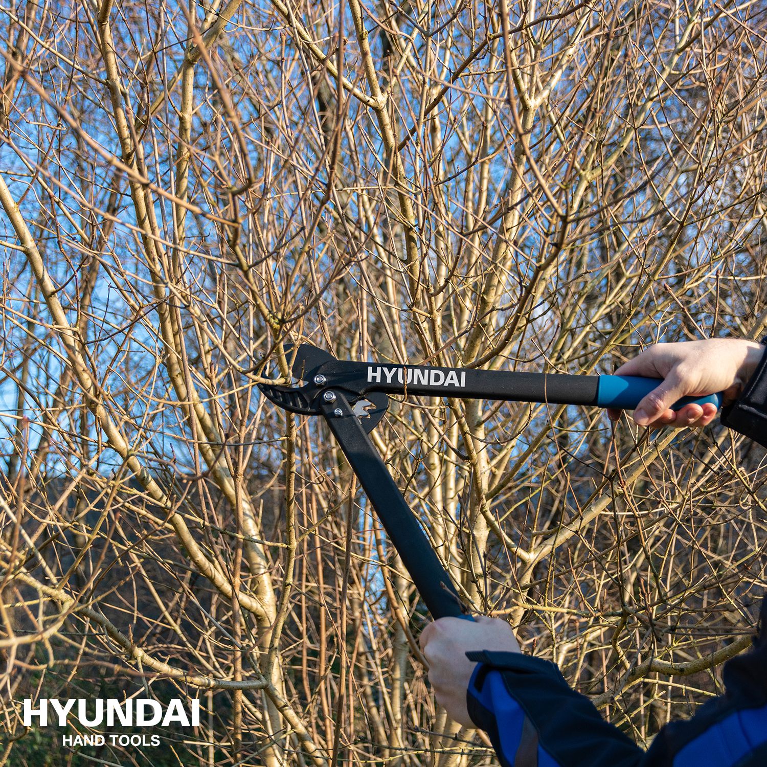 Hyundai takkenschaar aambeeld 53 cm